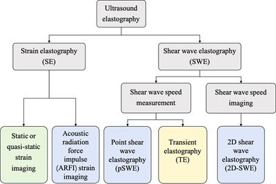 Artificial intelligence - based ultrasound elastography for disease evaluation - a narrative review